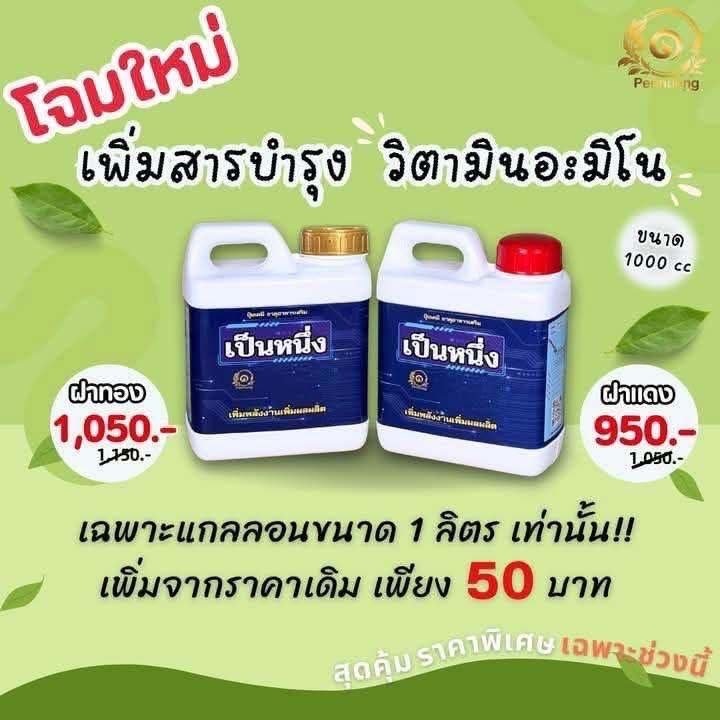 ปุ๋ยทาหน้ายาง (เป็นหนึ่ง) / ขนาด 1000cc น้ำยางออกดี ออกเต็มหน้า ฟื้นฟูหน้ายางตายนึ่ง เปลือกนิ่มกรีดง่าย มี 2 ตัวเลือก