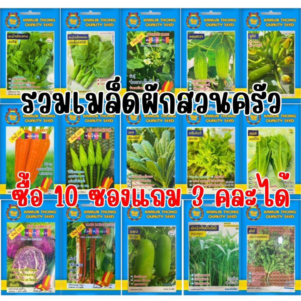 เมล็ดพันธุ์ผักสวนครัว ซื้อ 10 แถม 3 คละได้ จัดส่งทุกวัน
