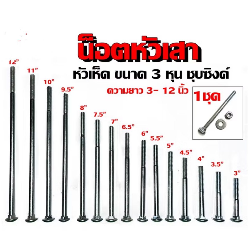 น็อตจับเสา / โบลท์หัวเห็ด พร้อมแหวนและน็อตตัวเมีย | ขนาด 3 หุน | ความยาว 3–12 นิ้ว
