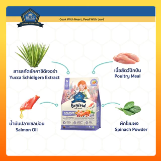 Buzz Beyond บัซซ์ บียอนด์ บัส อาหารแมว แมวโต แมวเด็ก ลูกแมว กลูเตนฟรี มีพรีโพรไบโอติกส์ บำรุงขน 1 กิโล