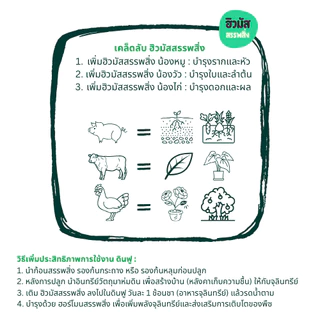 set x3 ดินฟู ~ ดินมีชีวิต : แถมฟรี >> Growth Hormone x1 ขวด ปริมาน 250 ml