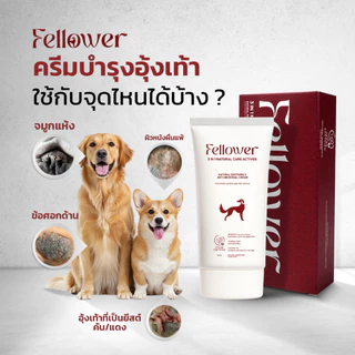 Fellower ครีมทาอุ้งเท้าสุนัข 3in1 ดูแลอุ้งเท้าแดง คัน เลียเท้า ยีสต์ ซึมไว ไม่เหนียว ปลอดภัยเลียได้ Paw Cream 50ml