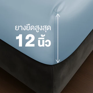 ibed ผ้าปูที่นอนเย็น นุ่มลื่น ป้องกันไรฝุ่น กันขนสัตว์ รุ่น Adaptive Cool Silk สีฟ้า