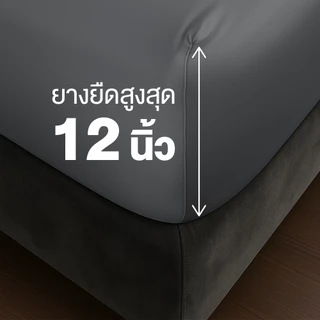 ibed ผ้าปูที่นอนเย็น นุ่มลื่น ป้องกันไรฝุ่น กันขนสัตว์ รุ่น Adaptive Cool Silk สีเทาเข้ม