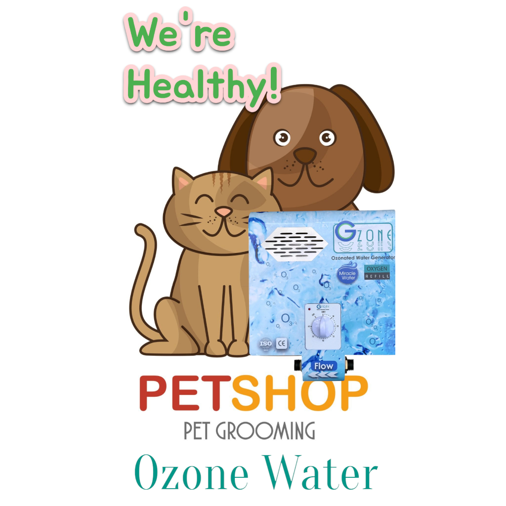 🐶🚿 อาบน้ำโอโซน ให้สุนัข แมว สัตว์เลี้ยงของคุณ สะอาด ดับกลิ่น ฟื้นฟูสุขภาพผิว&ขน ช่วยขนฟู เงางาม🛁✨ด้วยเทคโนโลยีพลังโอโซน