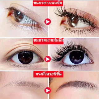 เซรั่มขนตายาว ปลูกคิ้ว ปลูกหนวด 10ml เร่งขนตายาว ขนตาหนา ยาวและงอน หนาดกดำ ขนตางอนสวยมีสเน่ห์ ราคาประหยัด สูตรเข้มข้น