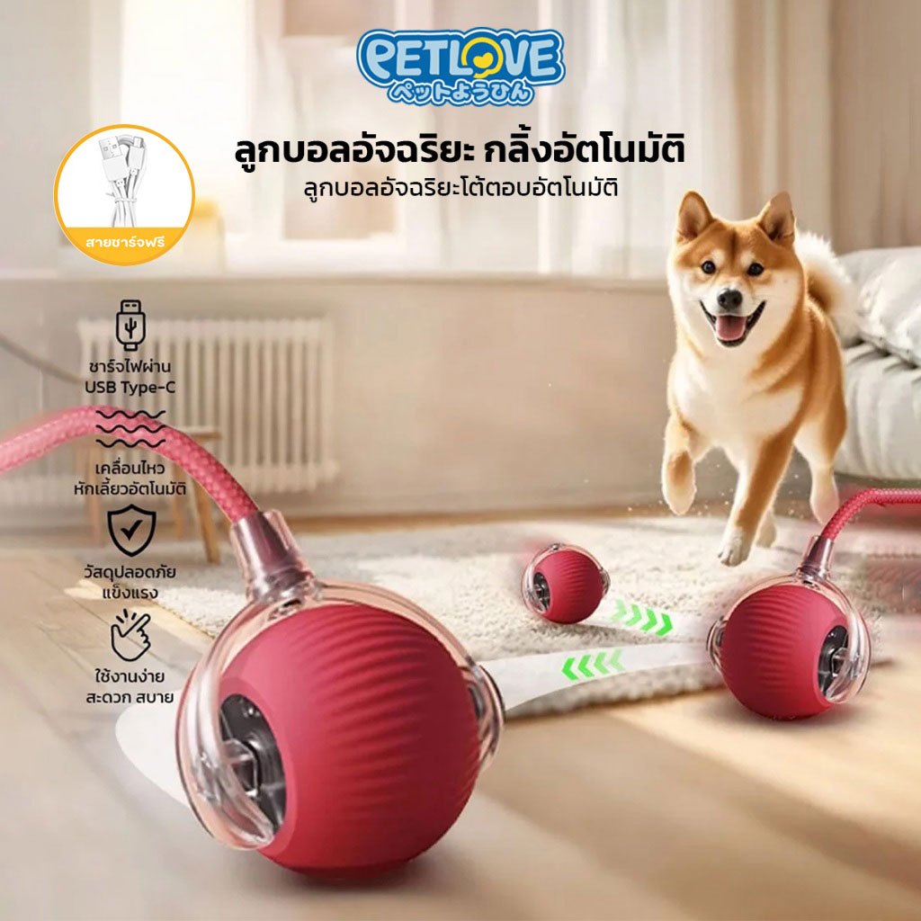 PETLOVE ของเล่นสัตว์เลี้ยง ของเล่นแมวโต้ตอบ ทนทาน น้ำหนักเบา ไม่เป็นอันตรายต่อสัตว์เลี้ยง
