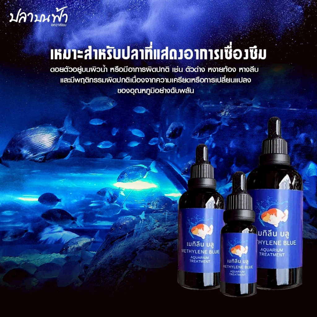เมทิลีนบลู ยาปลาสวยงาม 20/50/100ml ลดเชื้อรา ฟักไข่ปลา thumbnail 3
