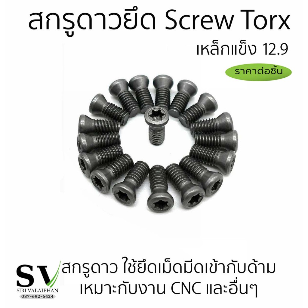 สกรูดาว Screw Torx สกรูดาวยึด เหล็กแข็ง 12.9 ใช้ยึดเม็ดมีดเข้ากับด้าม - Screw Torx cutting tools *รา