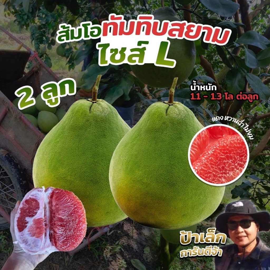 ส้มโอทับทิมสยามปากพนัง ไซส์ L  2ลูก  น้ำหนัก 1.1- 1.3 กก./ต่อลูก จากสวนป้าเล็กขี้ลืม