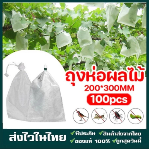 ถุงห่อฝรั่ง กันuv ถุงห่อผลไม้ กันแมลง มีรูระบายน้ำ ขนาด20*30 คุณภาพคุ้มราคา