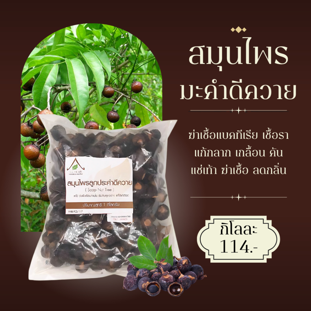 ลูกประคำดีควาย มะคำดีควาย ตากแห้งแบบชิ้น ขนาด 1 กิโลกรัม (Soap Nut Dried Size 1Kg.) สมุนไพรตากแห้งแบบชิ้น