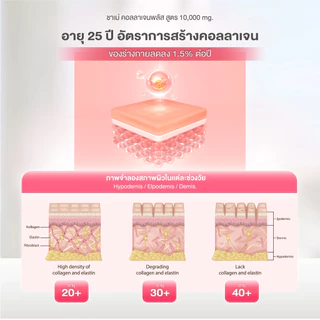 CHAME' Collagen Plus 10,000 mg. ชาเม่ คอลลาเจน พลัส ให้ผิวกระจ่างใส ช่วยชะลอริ้วรอย ลดจุดด่างดำ (10 ซอง) 1 กล่อง