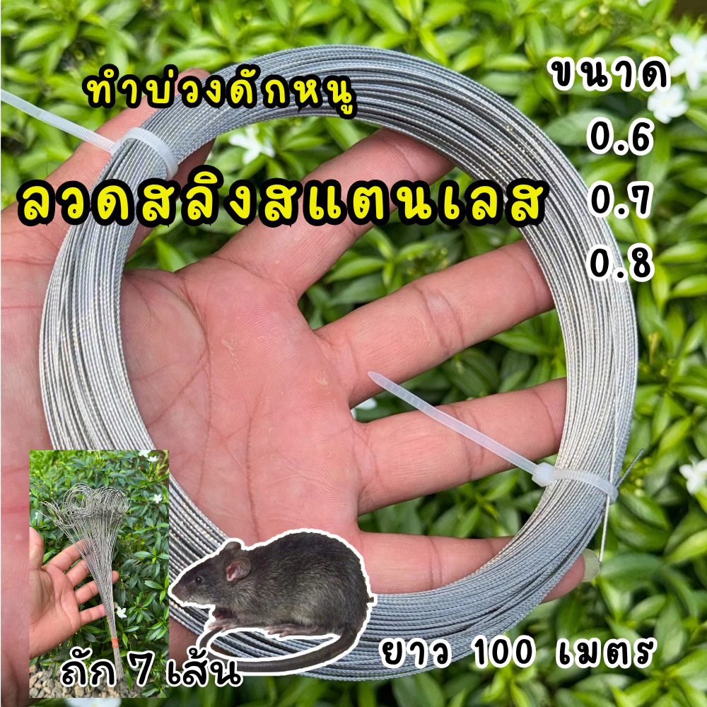 ลวดสลิงดักหนู ลวดสแตนเลส ลวดทำบ่วงดีด ดักหนู ขนาด 0.6 - 0.7- 0.8 มม. ม้วนละ 100 เมตร
