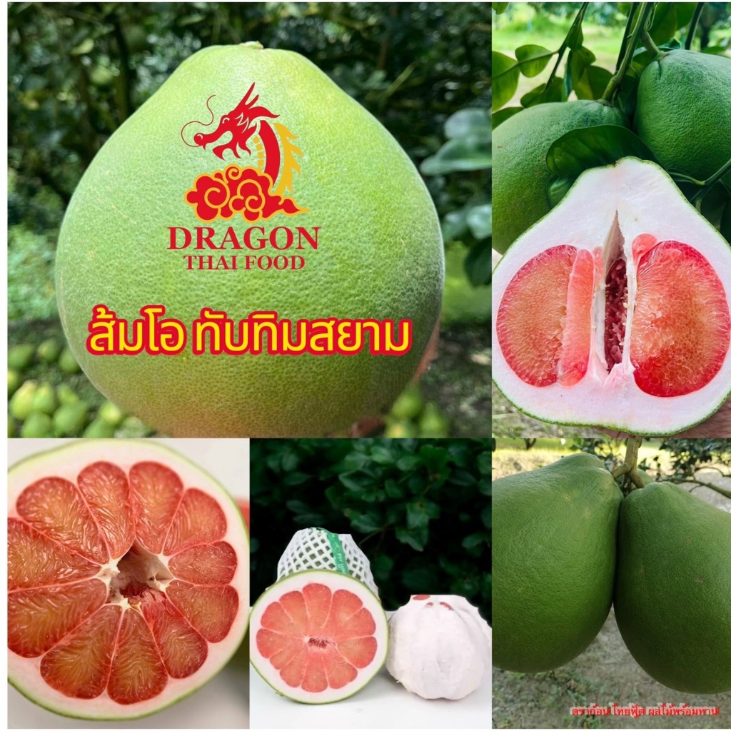 ส้มโอทับทิมสยามแท้จากปากพนัง ส่งทุกวัน เน่าเสียเครมได้ค่ะ