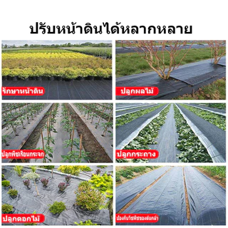 Daily Gold ผ้าคลุมดิน(เกรด A) พลาสติกคลุมวัชพืช พราสติกคลุมดิน น้ำซึมผ่านได้ ป้องกันรังสี UV รับประกัน5ปี