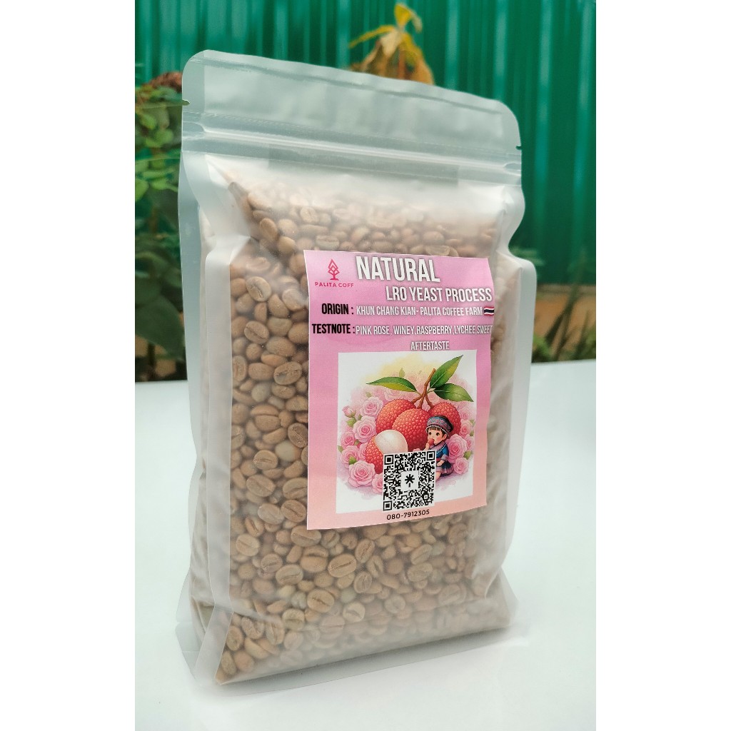 กาแฟสาร ยีสต์Lychee : Natural LRO Yeast Process ,Green coffee Beans
