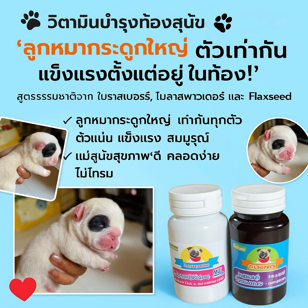 วิตามินบำรุงท้อง+วิตามินเพิ่มน้ำนมสุนัข