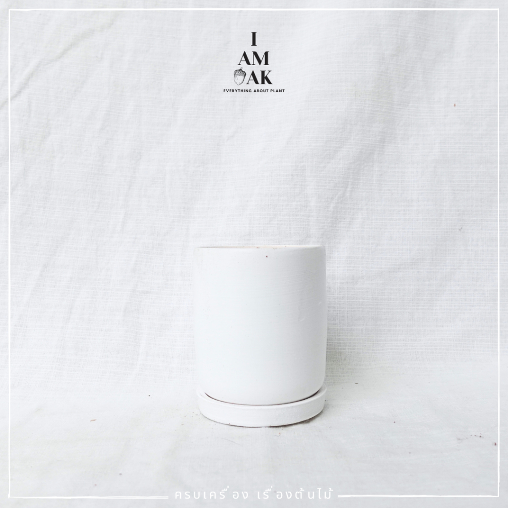 มุมมอง 9