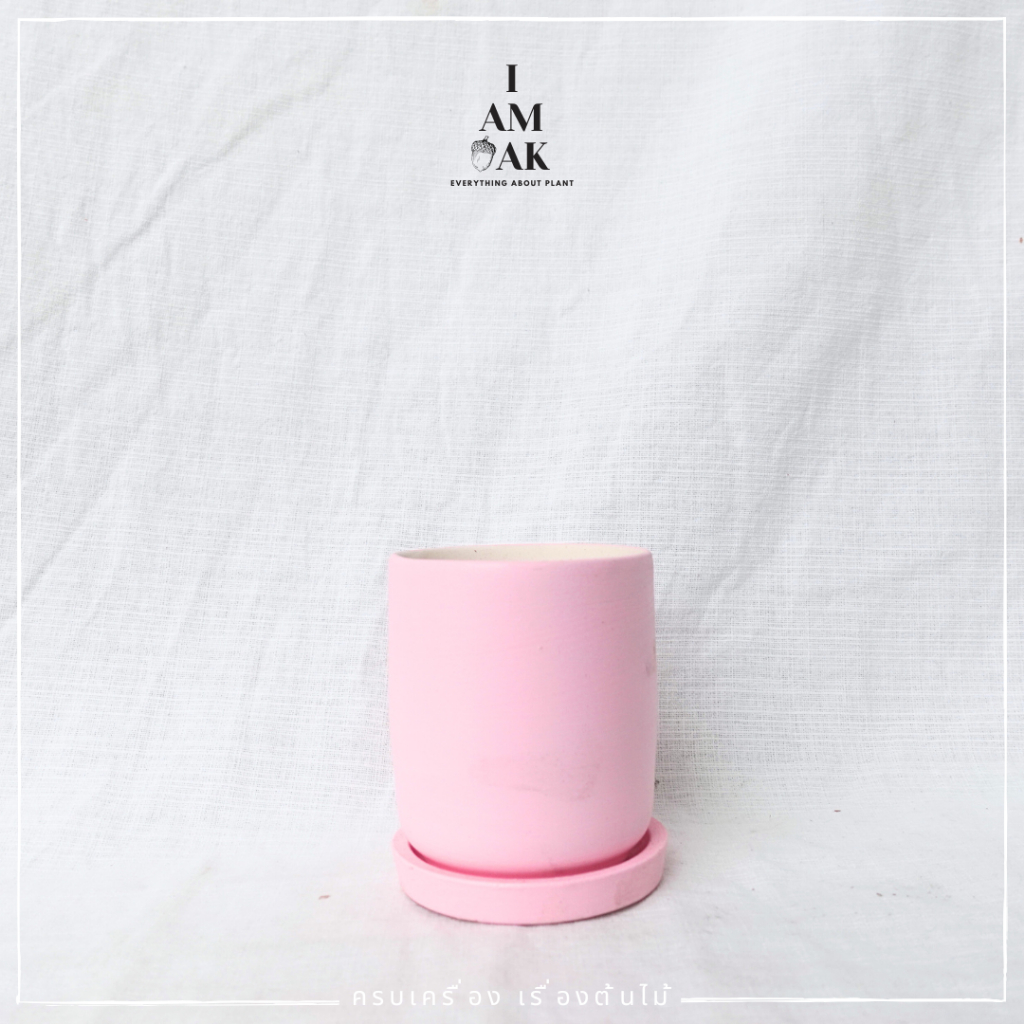 มุมมอง 8