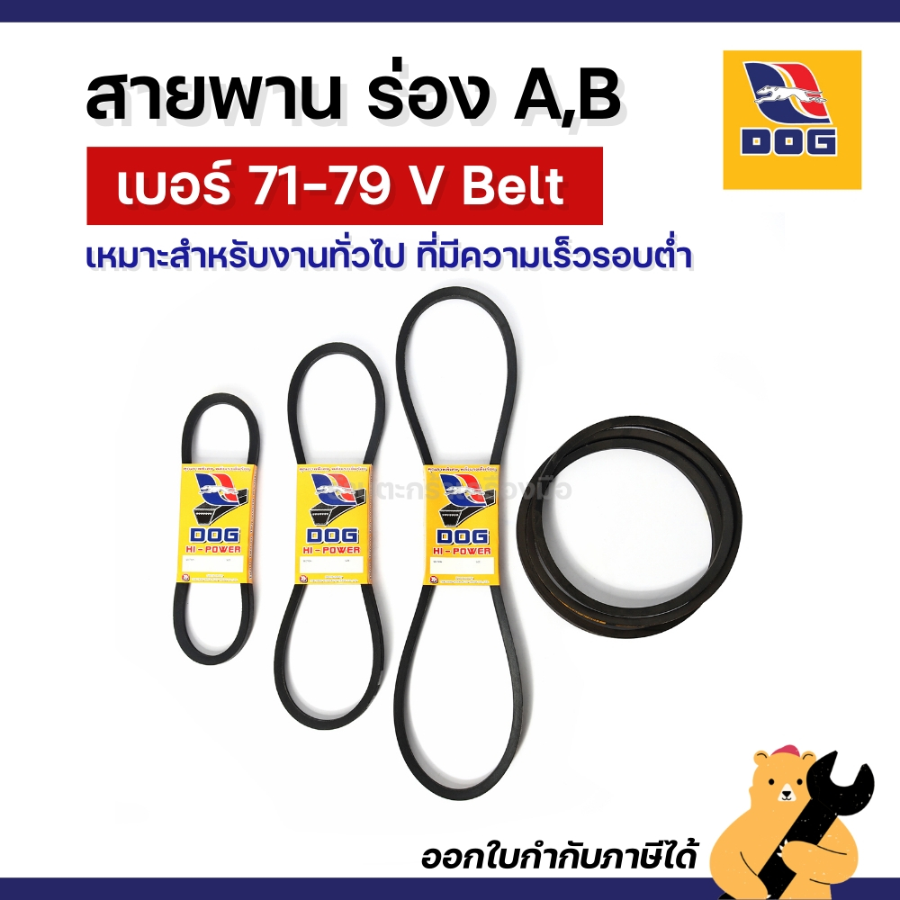 [พร้อมส่ง] A71-79 B71-79 สายพานร่อง A ร่อง B ตรา DOG สายพานตราหมา V Belt สายพานร่องเรียบ สายพานเกษตร สายพานรถไถ (1 เส้น)