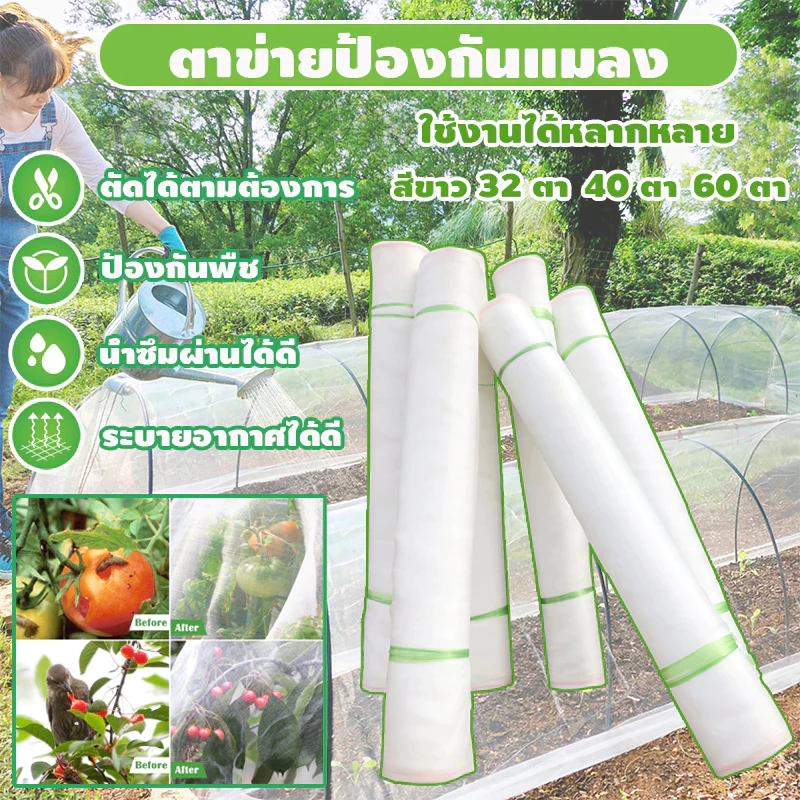 Daily Gold มุ้งขาว มุ้งขาวโรงเรือน 32ตา/40ตา/60ตา มุ้งกันแมลงผัก ตาข่ายกันแมลง มุ้งโรงเรือน กันแมลง มุ้งปลูกผัก