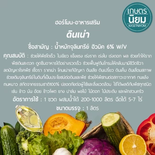 ดินเน่า (สารปรับปรุงสภาพดิน EM จากน้ำหมักจุลินทรีย์ ฮิวมิค 6% W/V) 1 ลิตร