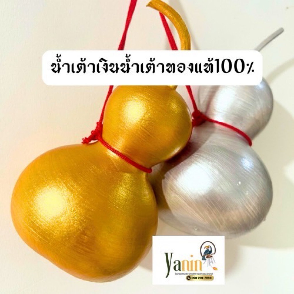 น้ำเต้าทอง น้ำเต้าเงิน แท้จากธรรมชาติ