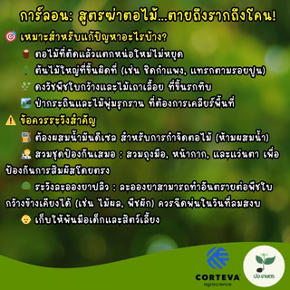 การ์ลอน (100 มล.) [ไตรโคลเพอร์] สูตรฆ่าต้นไม้ใหญ่ ตอไม้ ตอกระถิน วัชพืชดื้อยา ตายถึงรากถึงโคน