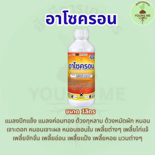 อาโซครอน (ยกลัง) สารป้องกันกำจัดแมลง ขนาด 1 ลิตร x 12ขวด