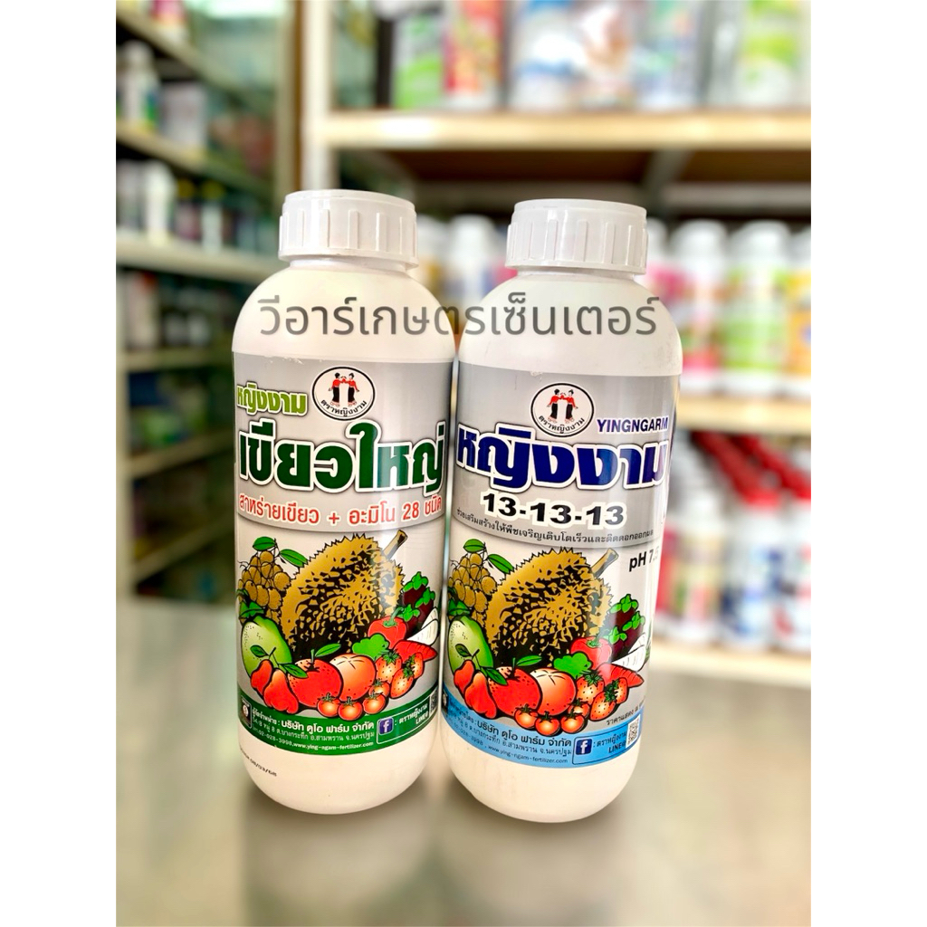 ชุดเซ็ตหญิงงามขยายขนาดใบ (เขียวใหญ่+13-13-13) ขนาด1ลิตร ใบอ่อนแตกสม่ำเสมอ ขยายขนาดใบ ใบหนา ใบใหญ่ ได้ถัง 1000 ลิตร