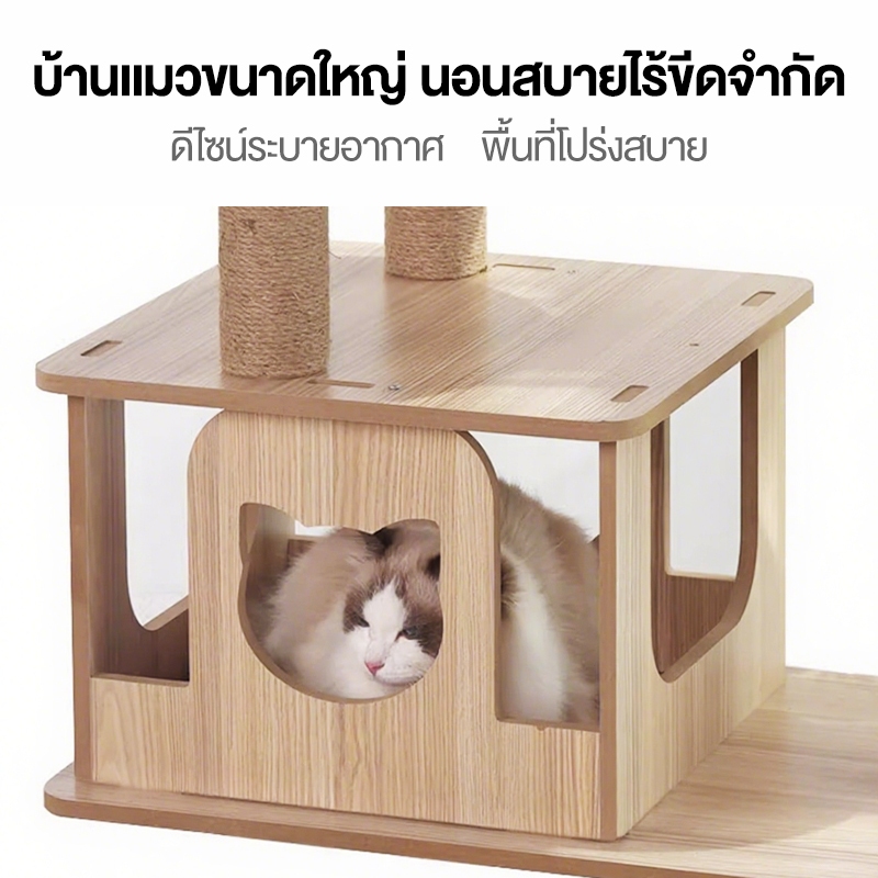 คอนโดแมวหลังใหญ่หลายดีไซน์ ไม้สวยไร้เหลี่ยมคม คอนโดไม้ รูปที่ 6
