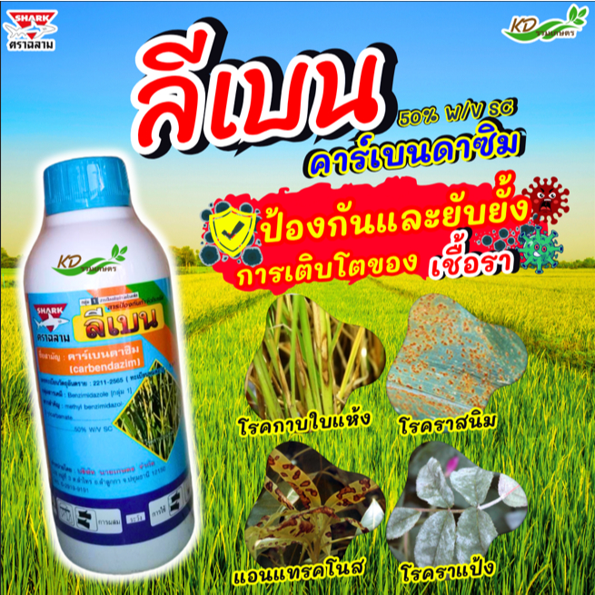 ยกลัง ลีเบน (ฉลาม) คาร์เบนดาซิม ขนาด 500/1000 ซีซี สารป้องกันกำจัดเชื้อราประเภทดูดซึม ออกฤทธิ์ทั้งแบบป้องกันและกำจัด