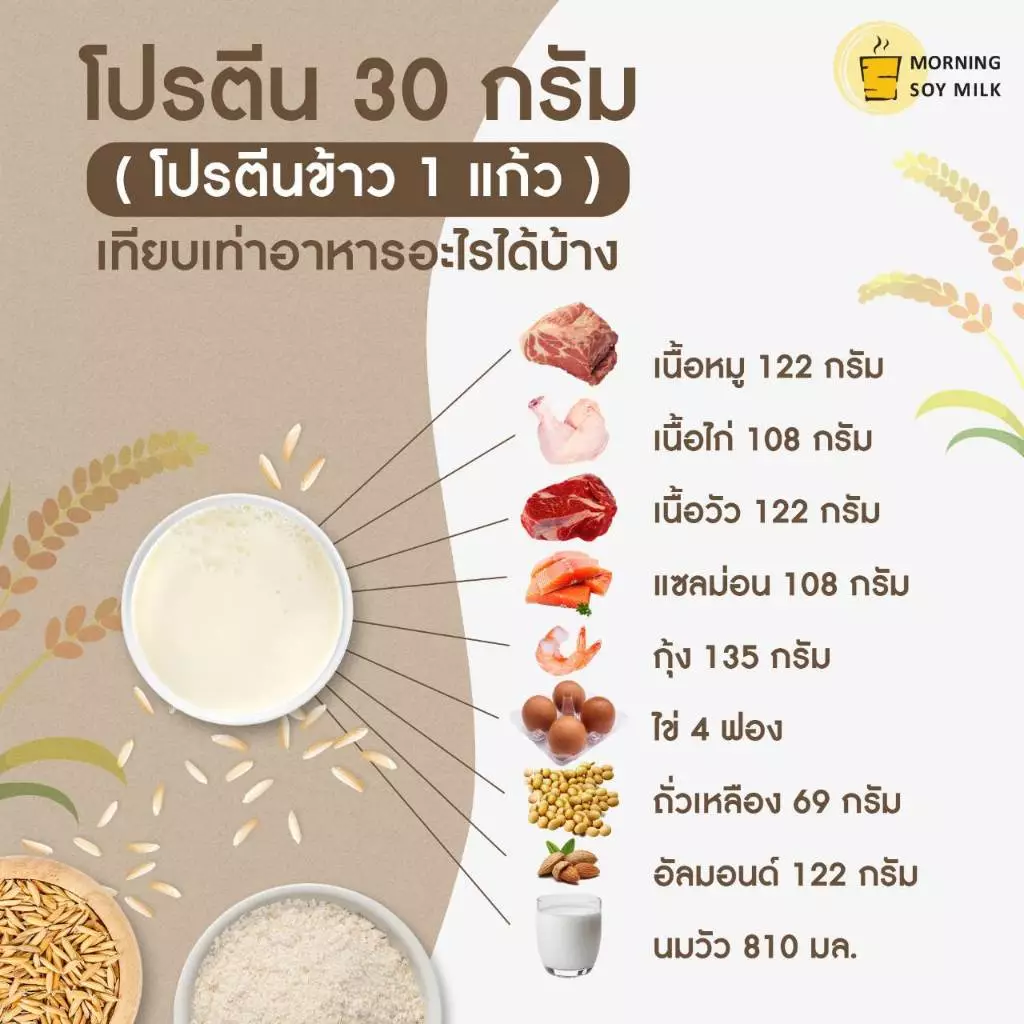 โปรตีนข้าวผง 30g ไม่มีน้ำตาล Plant Based Protein 3 ซอง thumbnail 7