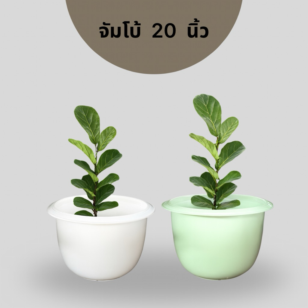 ‼️ถูก  ส่งเร็วทันใจ‼️ กระถางพลาสติก จัมโบ้  ไซส์ใหญ่  ขนาด 20 นิ้ว - รูปที่ 4