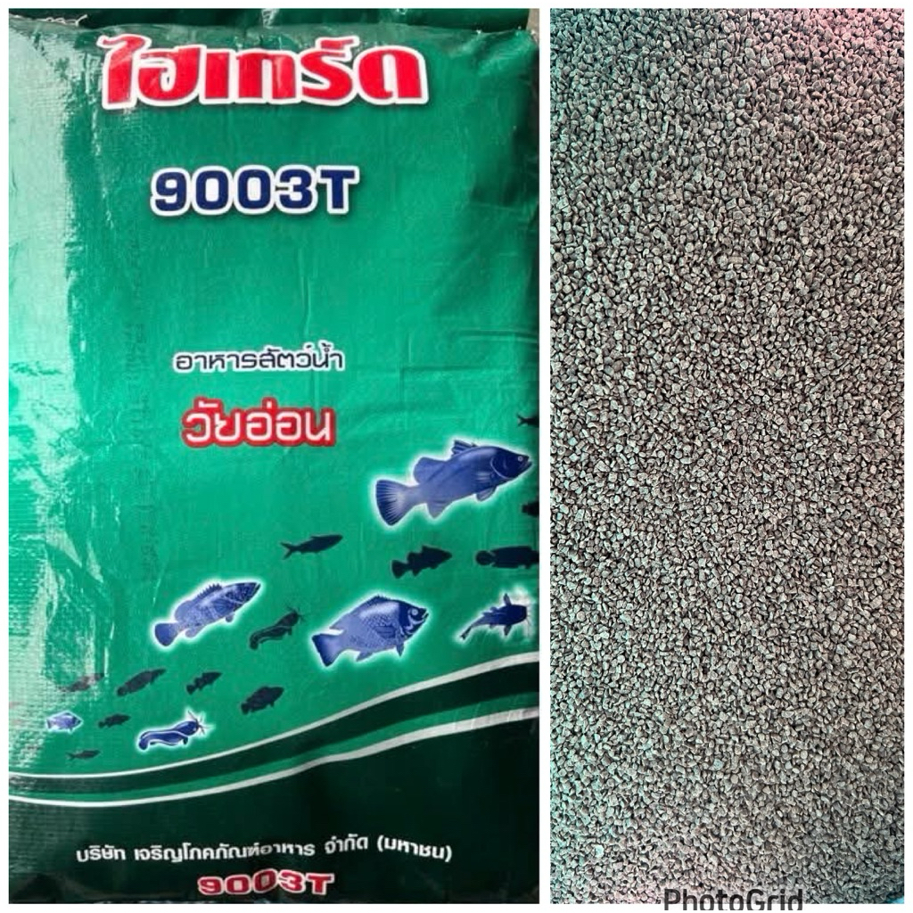 แบ่งขายอาหารลูกปลาวัยอ่อน 9003T อาหารปลาแบบจม โลล่ะ 80