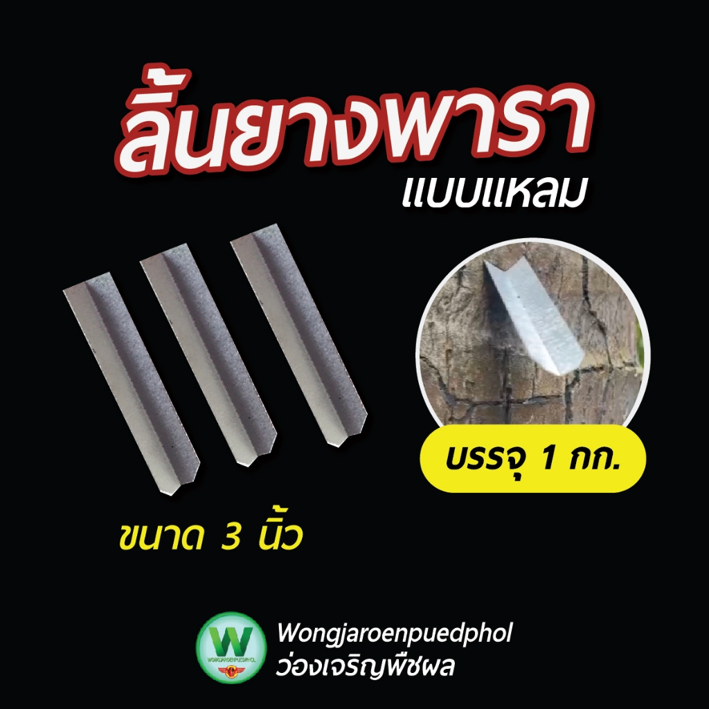 ลิ้นยางพาราแบบแหลม 1 Kg | ลิ้นเหล็กชุบซิงค์ กันสนิม ทนแดดฝน ใช้กับจอกน้ำยางพารา