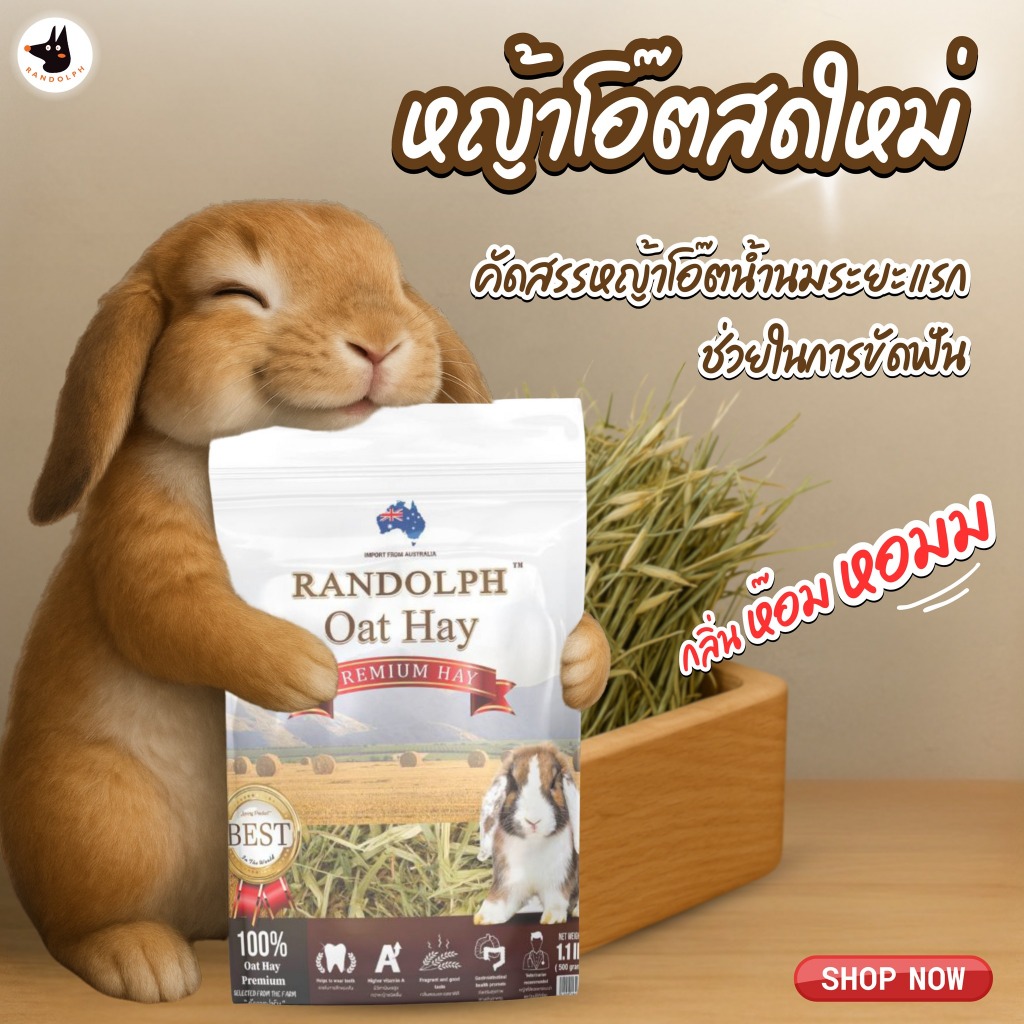 OAT HAY หญ้าโอ๊ต ขนาด 500 กรัม ลับฟันกระต่ายได้ดี