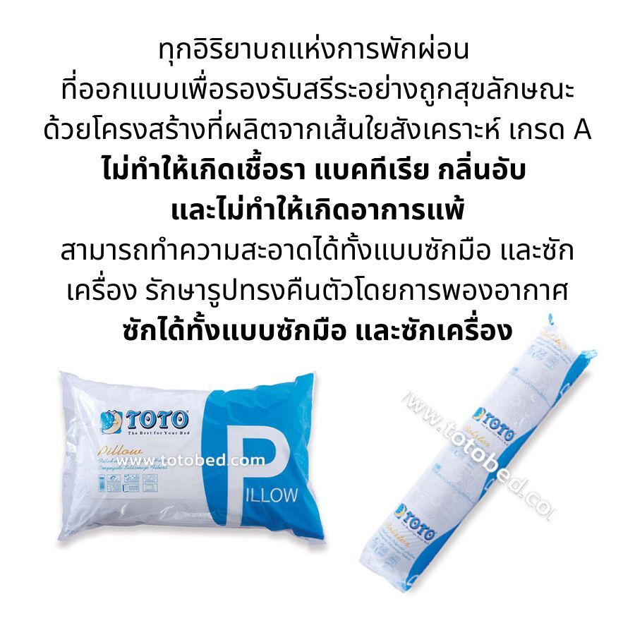 Toto โตโต้ หมอนหนุน หมอนข้าง และ หมอนหนุนสูญกาศ ใยสังเคราะห์ สีขาว นิ่มแน่น