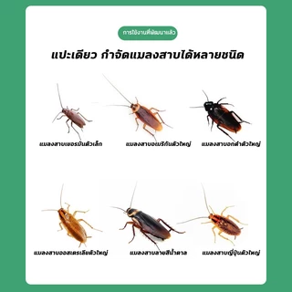 💥100ปีไม่มีแมลงสาบ💥แมลงสาบ ไล่แมลงสาบ ดักแมลงสาบ ฆ่าแมลงสาบ ซื้อ1แถม1 10ชิ้น/กล่อง การฆ่าต่อเนื่องโดยการให้อาหาร