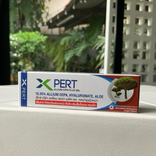 ✨X-PERT Allium cepa plus gel 10g ลดเลือนรอยนูน แผลเป็น รอยสิ…