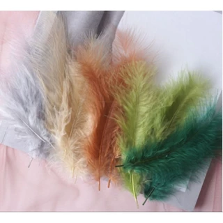 ขนนก ขนนกแบบก้าน ขนมิ้งก้านเดี่ยว ขนาด 10-17 cm แพคละ 50ก้าน พร้อมส่ง