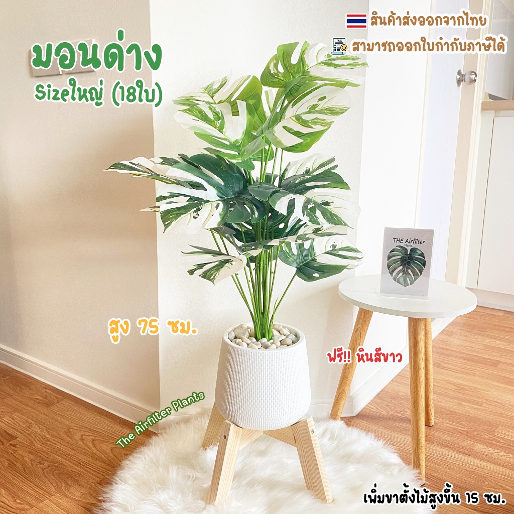 ต้นไม้ปลอมSizeใหญ่(18ใบ)พร้อมกระถาง(ฟรี!!หินโรย) ต้นมอนด่างสูง75-90cm ตั้งบริเวณบ้าน ข้างโซฟา ตั้งหน้าทีวี ต้นไม้มงคล
