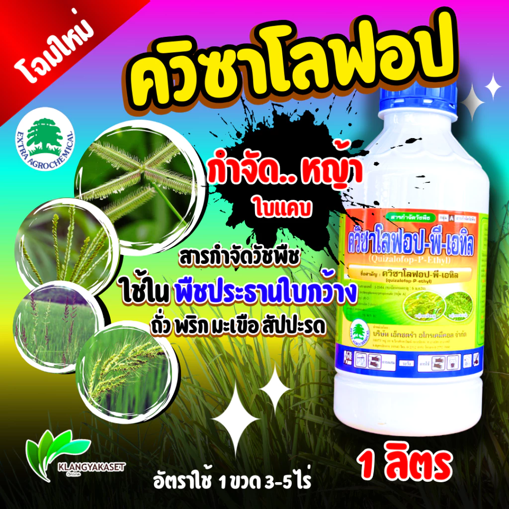ควิซาโลฟอป-พี-เอทิล กำจัดวัชพืชใบแคบ ปลอดภัยต่อพืชประธานใบกว้าง ✅