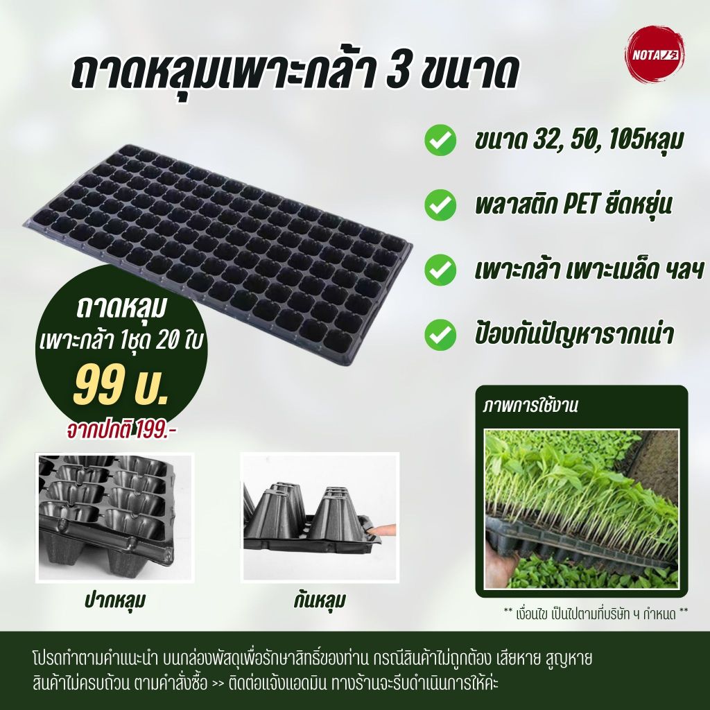 NOTA ถาดหลุม ถาดเพาะกล้า ถาดเพาะระบายน้ำ ขนาด 32หลุม 50หลุม 105หลุม (พร้อมส่ง)