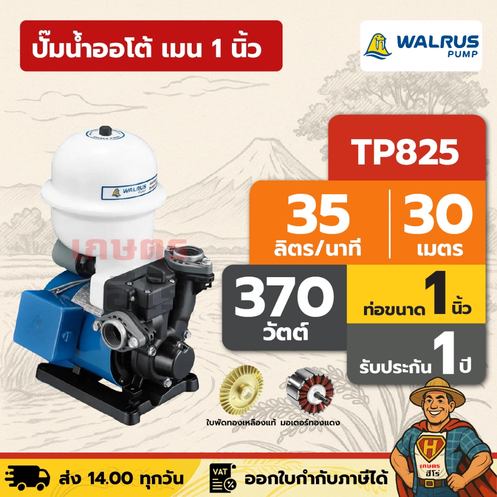 ปั๊มน้ำออโต้ แรงดันคงที่ - เมน 1 นิ้ว - 2 ชั้น 2 ห้องน้ำ 370 วัตต์ WALRUS TP825P | มอเตอร์ทองแดง