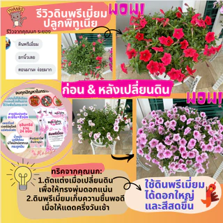10L/4 Kg ดินกุหลาบ และไม้ดอก สูตรพรีเมี่ยม สูตรบำรุงดอก 13 ส่วนผสม มีผลตรวจแล็บ ธาตุอาหารสูง ไม้เติบโตได้ดีในระยะยาว