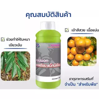 แมมมอท แคลเซียม แม็กนีเซียม เทพวัฒนา ตราปลาคู่ ธาตุอาหารรองที่จำเป็นสำหรับพืชทำให้พืชแข็งแรง