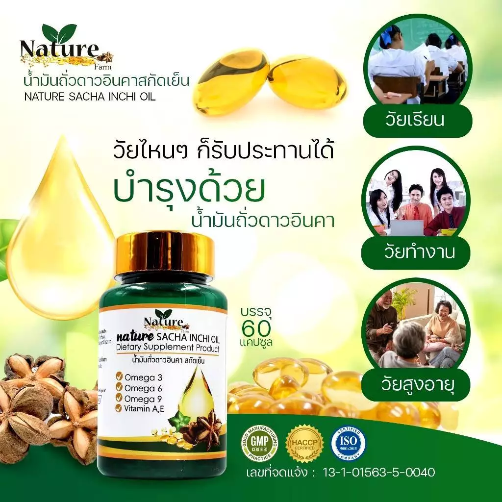 Nature SACHA INCHI OIL น้ำมันถั่วดาวอินคา สกัดเย็น 60 แคปซูล ซอฟเจล