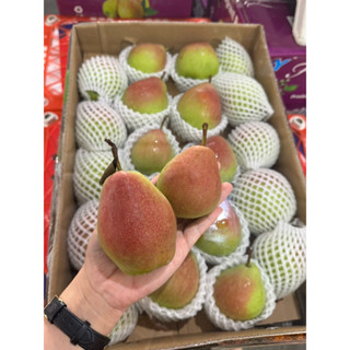 แพรแดง นำเข้าอร่อย 🍐🍐 หวาน กรอบ ฉ่ำ ขายดีมากๆ  ลังละ 7.8 กิโ…